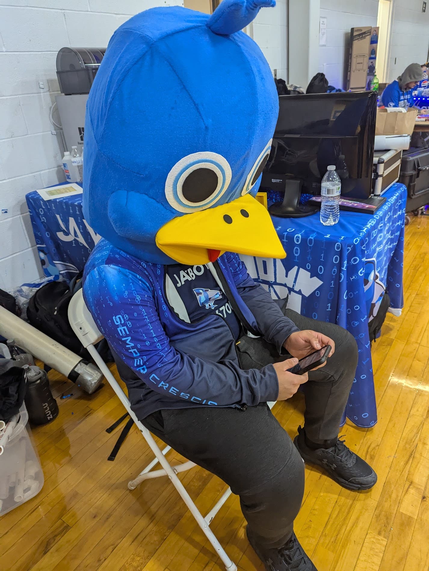 Jay checking instagram views